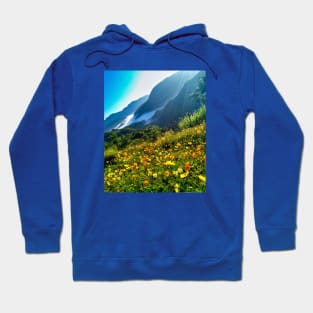 Green Nature Mountains Scene Hoodie